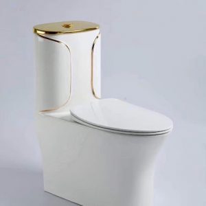 Bàn cầu liền khối 5