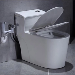 Bàn cầu liền khối 6